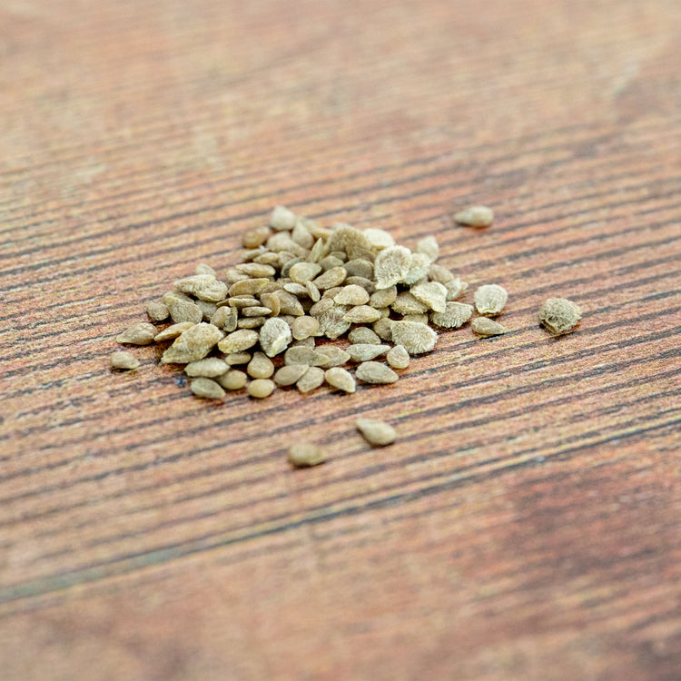 Unwins Tomato Modern Classic Collection Pack Seeds